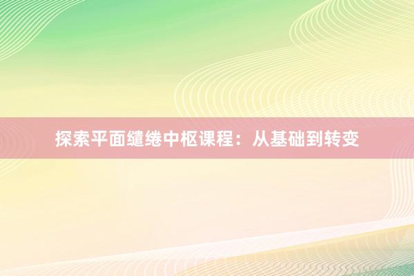 探索平面缱绻中枢课程：从基础到转变